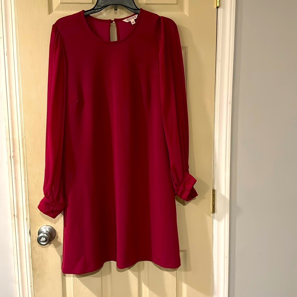 The "Little Pink Thing" dress!